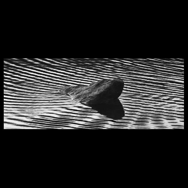 PHOTO84, CLUB, 84 , LUBERON